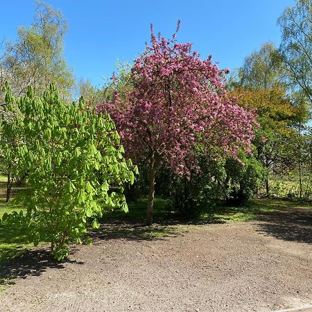 B&B Bosstee Vledderveen  Bagian luar foto